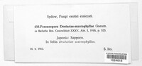 Image Associated With the Occurence